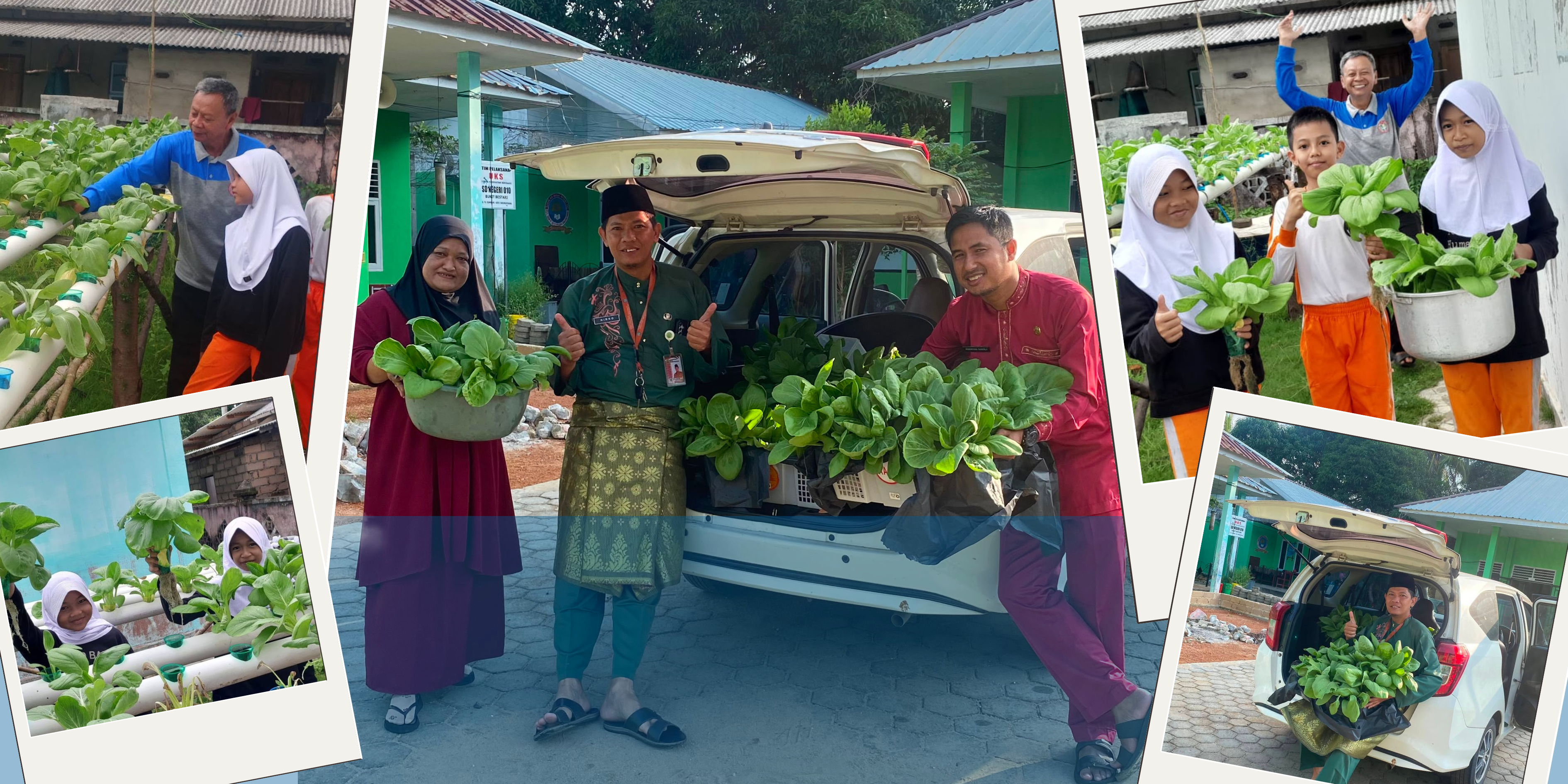 SD Negeri 010 Bukit Bestari Panen Sayur Hidroponik Ramah Lingkungan dengan Memanfaatkan Air Buangan AC